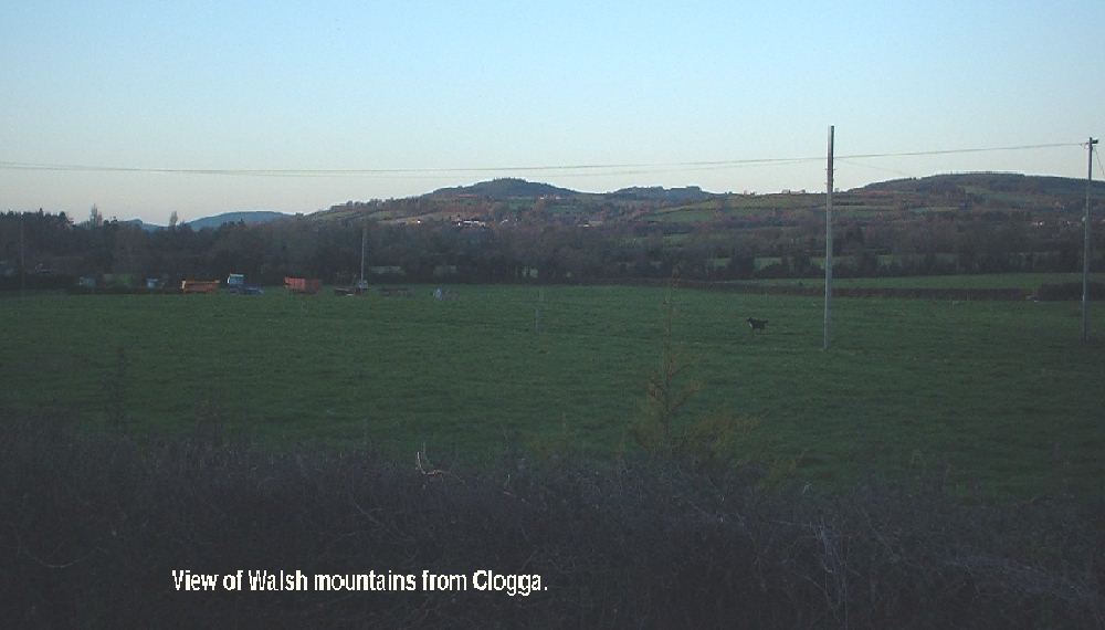 View of the Walsh Mountains and Kilnaspic church from Clogga